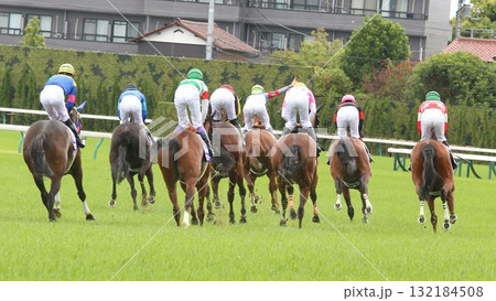 ゴール後の競走馬を背後から捉えた一枚 132184508