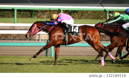 ゴール前で他馬を突き放す競走馬の決定的瞬間 ゴール前で他馬を突き放す競走馬の決定的瞬間 132184519