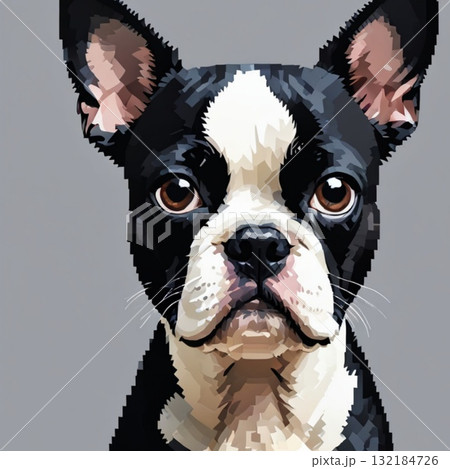 かわいいドット絵 ボストン・テリアさん ラインスタンプ風 かわいいドット絵 ボストン・テリアさん ラインスタンプ風 132184726