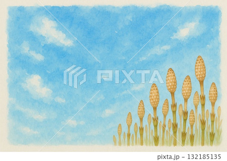 春　つくし　土筆　青空　水彩画 132185135