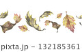 Autumn dry leaves seamless border. Hand painted watercolor illustration. Natural fall foliage design for wrapping paper, fabric and seasonal decoration 132185361