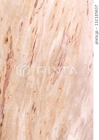 Natural wood texture background with soft tones and subtle patterns for design with copy space Natural wood texture background with soft tones and subtle patterns for design with copy space 132185637