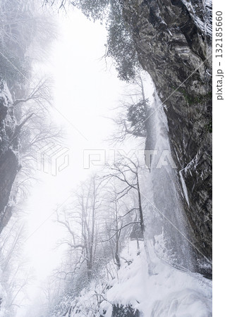 Snowy winter landscape with frozen waterfall and tall cliffs surrounded by bare trees Snowy winter landscape with frozen waterfall and tall cliffs surrounded by bare trees 132185660