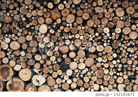 Natural wood texture background with various tree rings and copy space for design elements 132185671