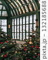 Festive Christmas background with decorated trees and sparkling lights in a cozy indoor setting 132185688