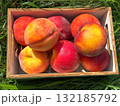 Peach ripe juicy tasty fruits 132185792