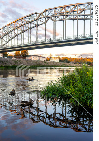Wild ducks on the Msta River against the backdrop of the Belelyubsky arched bridge 132186575