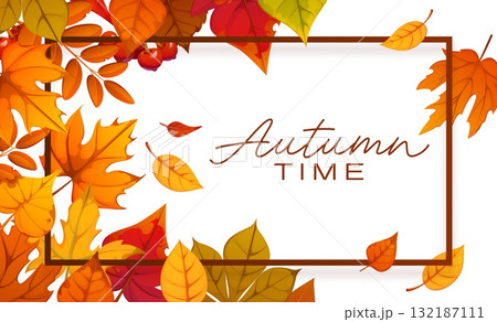 Autumn poster or greeting card with fall leaves and border frame of orange, red and yellow oak, maple and birch seasonal foliage. Autumn time season vector banner with frame of maple and oak leaves Autumn poster or greeting card with fall leaves and border frame of orange, red and yellow oak, maple and birch seasonal foliage. Autumn time season vector banner with frame of maple and oak leaves 132187111