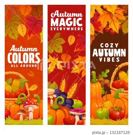 Autumn seasonal harvest banners with pumpkins, fall leaves, mushrooms, fruits and wheat ears, apples, grapes, acorns and berries. Autumn season vector banners with quotes and fall harvest in foliage 132187120