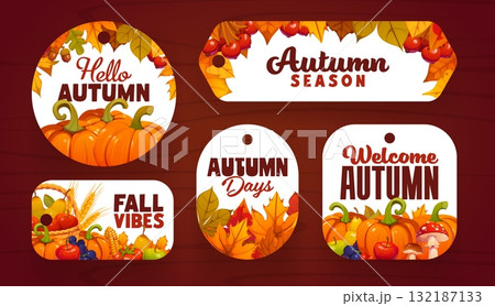 Thanksgiving sale and seasonal discount tag labels with ripe pumpkins, fruits, vegetables and corn cobs. Autumn leaves and berries for Thanksgiving advertising, retail discount and vector store tags Thanksgiving sale and seasonal discount tag labels with ripe pumpkins, fruits, vegetables and corn cobs. Autumn leaves and berries for Thanksgiving advertising, retail discount and vector store tags 132187133