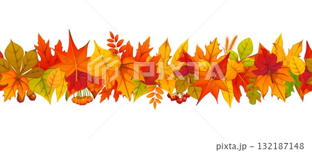 Autumn foliage seamless vector border with red, orange, yellow, brown and green oak, maple, birch and rowan leaves combined with acorns and berries. Autumn fall season decoration, foliage garland Autumn foliage seamless vector border with red, orange, yellow, brown and green oak, maple, birch and rowan leaves combined with acorns and berries. Autumn fall season decoration, foliage garland 132187148