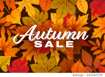 Autumn sale banner with fall red, orange, red and brown leaves of maple, oak, chestnut, and birch foliage background. Seasonal sale discount and promo design of autumn sale banner with autumnal leaves 132187179