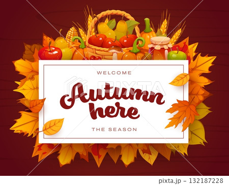 Autumn harvest vector banner with orange pumpkins, red apples, yellow pears, vegetables, and autumn season leaves. Corn cobs, wheat ears, and honey jar with white frame on autumn leaves foliage banner Autumn harvest vector banner with orange pumpkins, red apples, yellow pears, vegetables, and autumn season leaves. Corn cobs, wheat ears, and honey jar with white frame on autumn leaves foliage banner 132187228