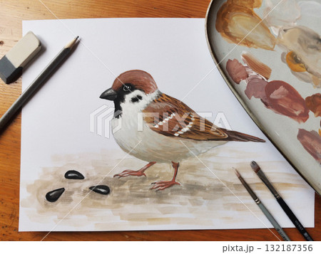 Sparrow bird painting artwork. Bird illustration ornithology wildlife drawing. Gouache learning nature education art supplies. White background brown tone illustration 132187356