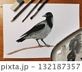 Crow bird painting on paper. Corvidae avian drawing grayscale artwork. Art education nature illustration wildlife tutorial. White background realistic style  132187357