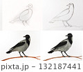 Drawing tutorial shows crow step by step. Bird illustration guide teaches how to sketch raven. Education art lesson crafts learning. Realistic style light background 132187441