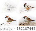 Sparrow drawing tutorial for children. Bird painting guide childish art. Education school project creativity hobby. Light background illustration 132187443