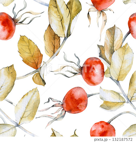 Watercolor seamless pattern with autumn leaves and rose hips. The botanical illustration is isolated on a white background. Seamless background with yellow dry leaves and red berries for wallpaper, Watercolor seamless pattern with autumn leaves and rose hips. The botanical illustration is isolated on a white background. Seamless background with yellow dry leaves and red berries for wallpaper, 132187572
