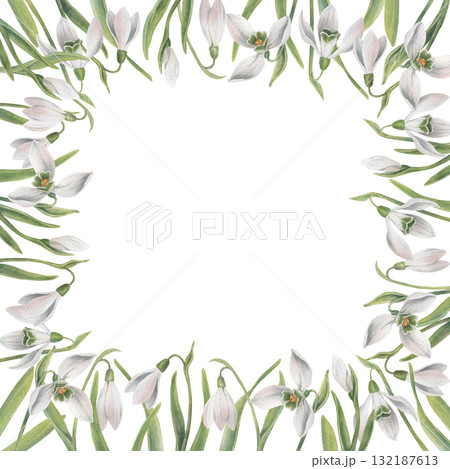 Gently square frame of snowdrop flowers. Watercolor illustration hand drawn and isolated on a white background. Ideal for decorating postcards, wedding invitations or other celebrations, posters, etc 132187613