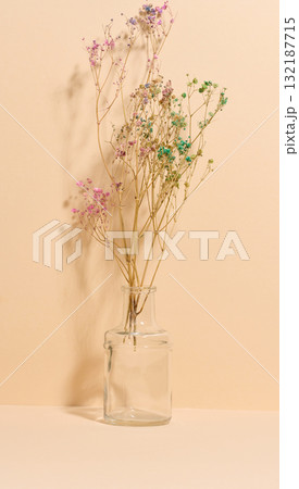 A minimalist composition with sprigs of painted gypsophila in a clear glass vase A minimalist composition with sprigs of painted gypsophila in a clear glass vase 132187715
