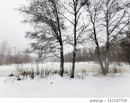 Snowy landscape with frozen river in background surrounded by leafless trees and snow foreground. Ideal for winter blogs. 132187739