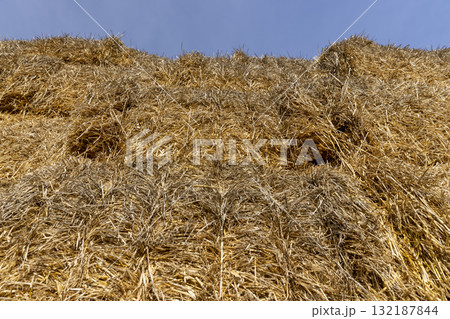 stacks on the field , yellow wheat straw used in agriculture and animal husbandry , close up stacks on the field , yellow wheat straw used in agriculture and animal husbandry , close up 132187844