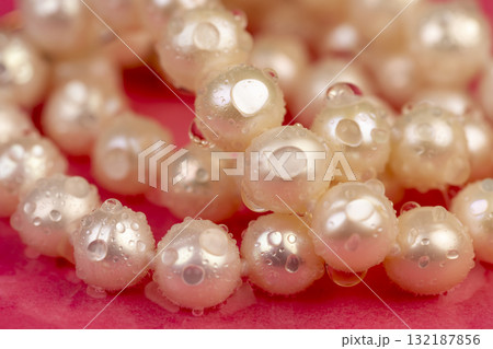 wet natural unpolished irregular shaped pearls from a marine mollusk covered with water droplets used in the manufacture of women's jewelry beads 132187856