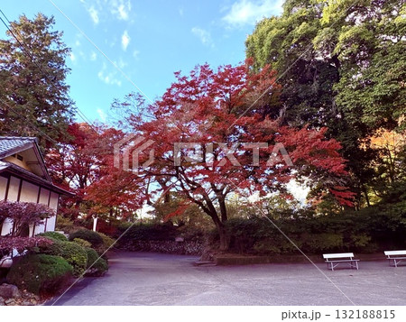 赤の饗宴 132188815