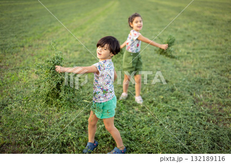two happy small girls playing with green grass on the field two happy small girls playing with green grass on the field 132189116