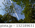 森から見上げた空 132189631