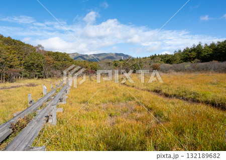 紅葉の栃木県那須 沼ッ原湿原の風景 132189682