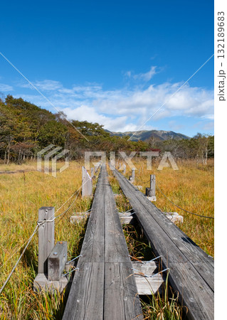 紅葉の栃木県那須 沼ッ原湿原の風景 紅葉の栃木県那須 沼ッ原湿原の風景 132189683