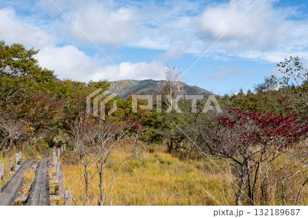 紅葉の栃木県那須 沼ッ原湿原の風景 132189687