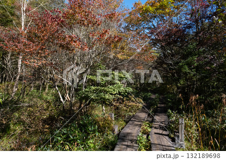 紅葉の栃木県那須 沼ッ原湿原の風景 132189698