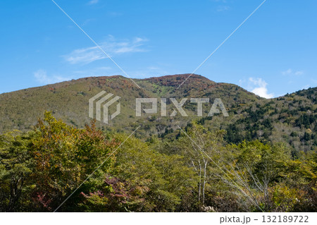 那須連山 沼っ原湿原周辺、紅葉する山 那須連山 沼っ原湿原周辺、紅葉する山 132189722