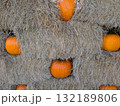 Bright orange pumpkins nestled in hay bales create a rustic autumn harvest display full of seasonal charm 132189806