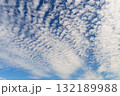秋の空に広がるうろこ雲 132189988