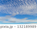 秋の空に広がるうろこ雲 132189989