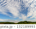 秋の空に広がるうろこ雲 132189993