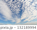 秋の空に広がるうろこ雲 132189994
