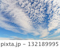 秋の空に広がるうろこ雲 132189995