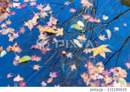 水面の反射と落ち葉（大分県豊後大野市） 132190020