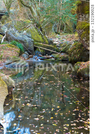 水面の反射と落ち葉（大分県豊後大野市） 132190028