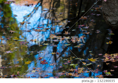 水面の反射と落ち葉（大分県豊後大野市） 132190035