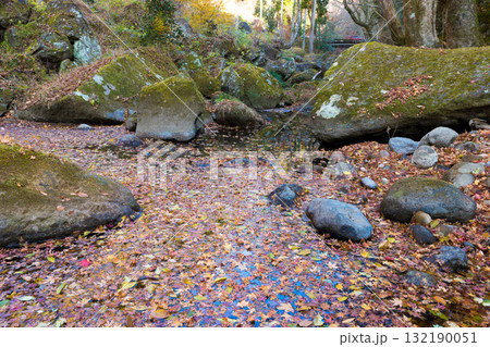 渓谷と落ち葉（大分県豊後大野市） 132190051