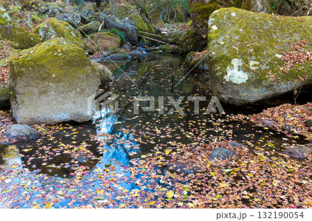 渓谷と落ち葉(大分県豊後大野市) 渓谷と落ち葉(大分県豊後大野市) 132190054