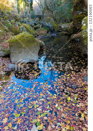 渓谷と落ち葉（大分県豊後大野市） 132190065