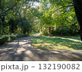森の道 132190082