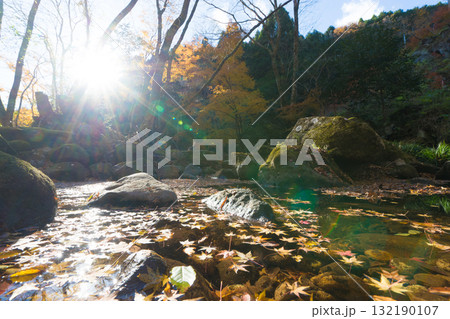 神角寺渓谷の紅葉(大分県豊後大野市) 神角寺渓谷の紅葉(大分県豊後大野市) 132190107