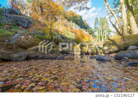 神角寺渓谷の紅葉(大分県豊後大野市) 神角寺渓谷の紅葉(大分県豊後大野市) 132190127